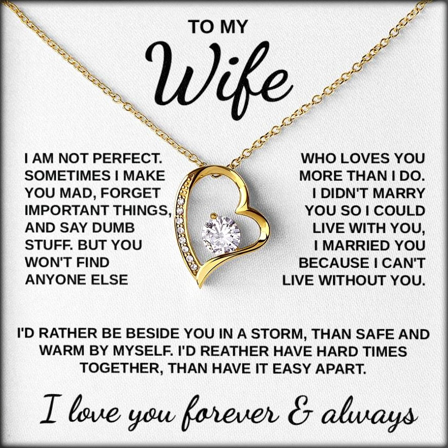 To My Wife - "Love Through the Storm" Necklace