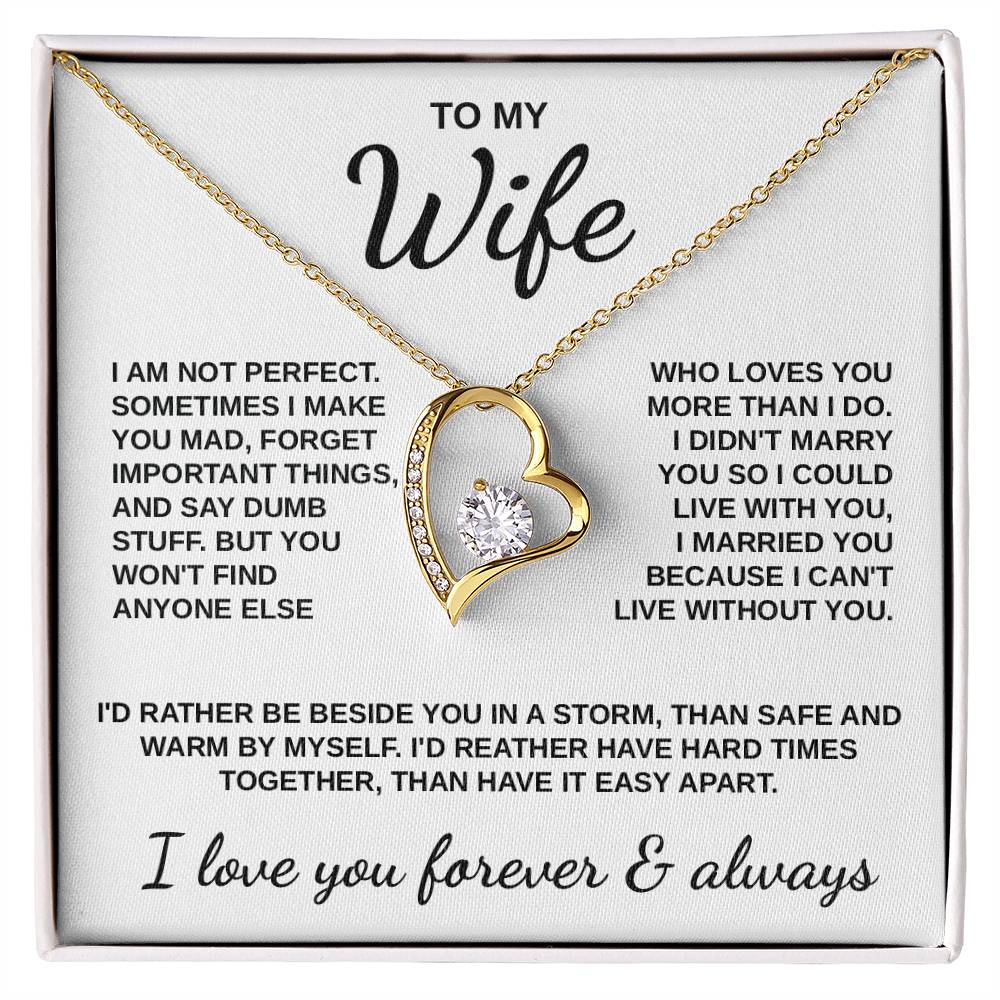 To My Wife - "Love Through the Storm" Necklace